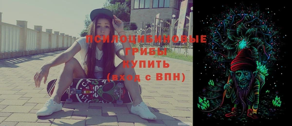 стаф Карпинск