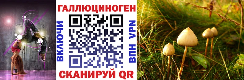 Купить закладки  Белоярский  Галлюциногенные грибы MAGIC MUSHROOMS 